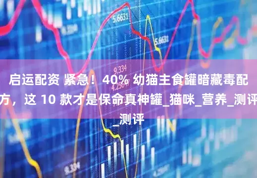 启运配资 紧急！40% 幼猫主食罐暗藏毒配方，这 10 款才是保命真神罐_猫咪_营养_测评