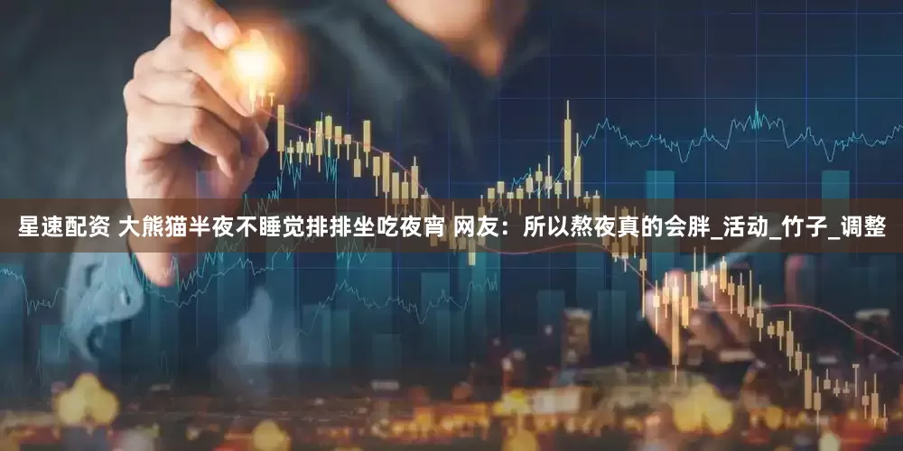 星速配资 大熊猫半夜不睡觉排排坐吃夜宵 网友：所以熬夜真的会胖_活动_竹子_调整