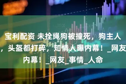 宝利配资 未拴绳狗被撞死，狗主人暴打外卖员，头盔都打碎，知情人曝内幕！_网友_事情_人命