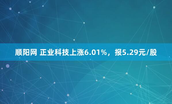 顺阳网 正业科技上涨6.01%，报5.29元/股