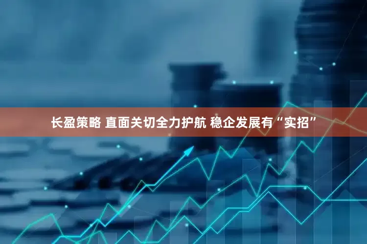 长盈策略 直面关切全力护航 稳企发展有“实招”