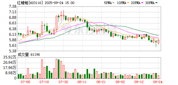 股巢网 红蜻蜓：AI助力数智化运营 运动休闲激发品牌新活力